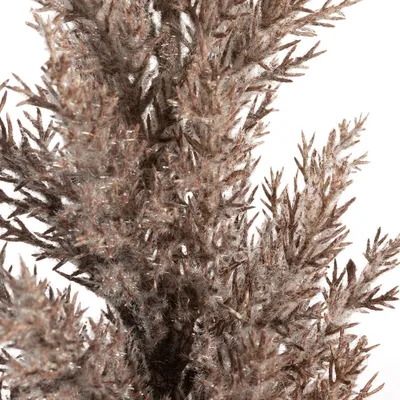 Zdjęcie produktu dla Kwiat Natu 304 długość.77 cm długość.z trawą 35 cm Brązowy