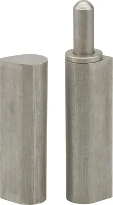 Image de Paumelle de porte d'entrée / d'intérieur à souder, inox, 20x25x160mm - THIRARD