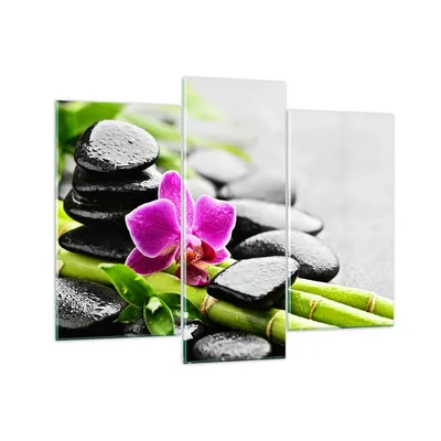 Produktbild von Bilder auf glas - Pflanze Steine Bambus Spa - 130x100cm - Glasbilder - Wandbilder - Kunstdruck - zum Aufhängen bereit - Wanddekoration aus Glas - Glas Bilder - Wandbild auf Glas - GCB130x100-2681