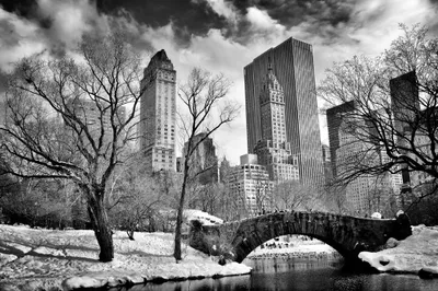 Produktbild von Muralo Fototapete Stadt NY 368 (B) x 280 (H) cm Vlies Tapete Wandtapete Fluss New York Park Brücke Wolkenkratzer Wohnzimmer Schlafzimmer moderne Wandbild Architektur Wand Dekoration