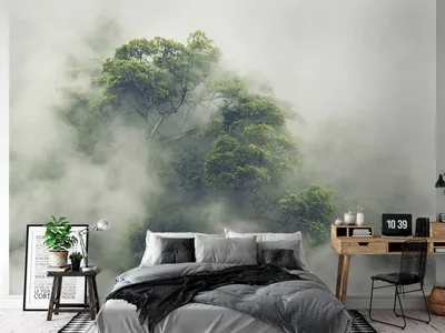 Immagine prodotto di Carta da parati fotografica in tessuto non tessuto foresta nella nebbia 400x280 cm carta da parati murale XXL natura albero nuvola paesaggio b-B-0486-a-a