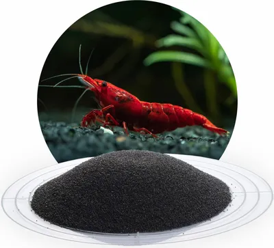 A red shrimp is shown in an aquarium setting above a pile of black aquarium sand.