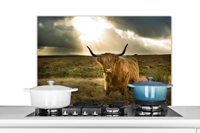 Obrázok produktu pre MuchoWow® Splashback Kuchyňa - Kuchynský backsplash - Ochrana steny pre sporák a drez Škótsky horal - Slnko - Tráva 80x55cm Alu-Dibond (alternatíva k