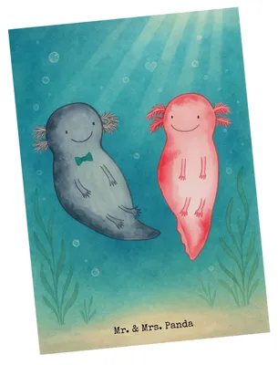 Produktbild von Mr. & Mrs. Panda Postkarte Axolotl Liebe Design - Weiß - Geschenk, Grußkarte, Fotokarte, Valentinstag, für Freundin, Jahrestag, Hochzeitstag, Ansichtskarte, Postkarten