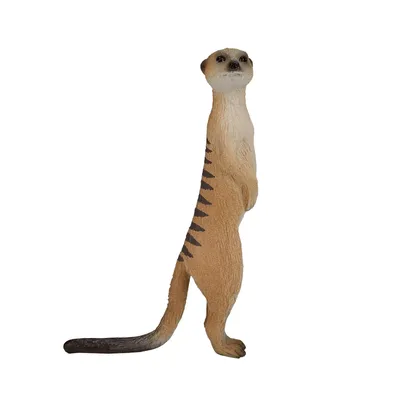 Immagine prodotto di Mojo Wildlife Stock Tail 387125