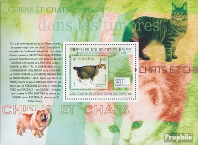 Produktbild von Briefmarken Guinea 2009 Mi Block 1769 (kompl. Ausgabe) postfrisch Hunde & Katzen auf Briefmarken