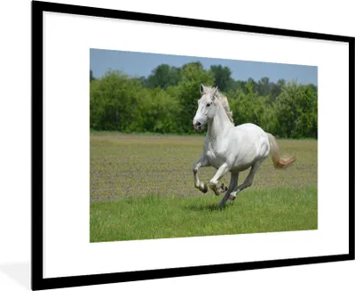 Produktbild von MuchoWow® Gerahmtes Poster Pferde - Natur - Weiß 90x60 cm - Poster mit Schwarzem Bilderrahmen Wandposter Rahmen Foto Bilder - Wanddekoration - Fotos