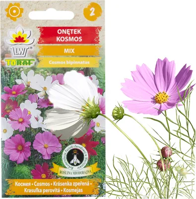 Immagine prodotto di Mayfly Kosmos Mix di colori Mayfly Semi di fiori 1G per aiuole da giardino