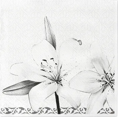 Produktbild von Tissue Deluxe Serviette Zum Abschied, 40 x 40 cm, 50 Stück - Mank - Trauerserviette