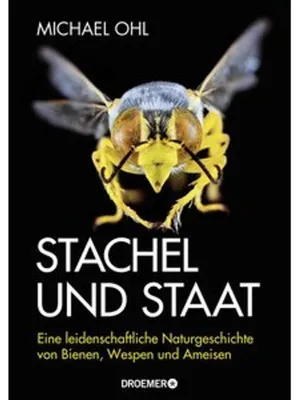 Produktbild von Stachel und Staat