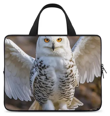 Image de Étui étanche pour ordinateurs portables de 17 pouces