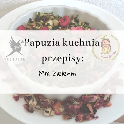 Zdjęcie produktu dla PAPUZIA Kuchnia ParrotPlanet- MIX ZIAREN- Autorski Przepis Adzioszki z Parrot Disaster