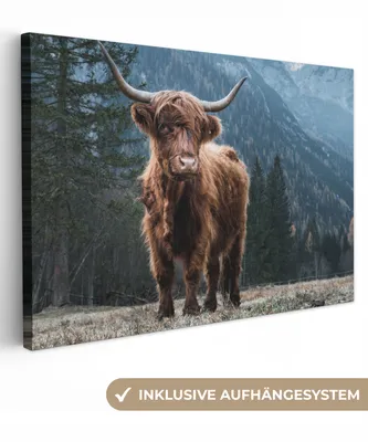 Produktbild von MuchoWow® - Leinwandbilder - Schottische Highlander - Berg - Landschaft - Bäume - Kuh - Natur, Wandbild, Wanddeko Bilder Wohnzimmer, 60x40 cm