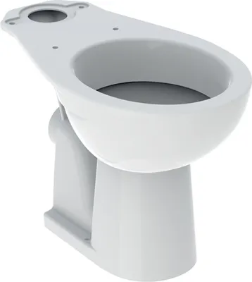 Image de Cuvette Bastia Sh Cuvette Wc Au Sol à Chasse Directe - Geberit