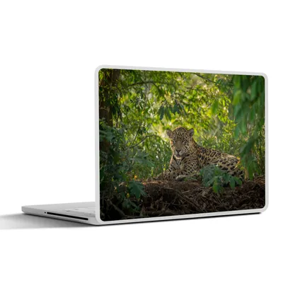 Produktbild von MuchoWow® Laptop Aufkleber Sticker Cover Jaguar im Dschungel 40x30 cm - Laptop Dekoration - Selbstklebend