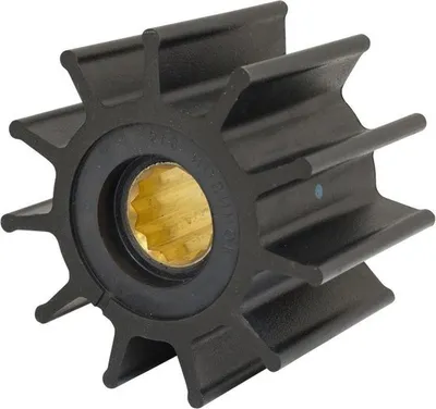 Immagine prodotto di Girante pompa Johnson 819B