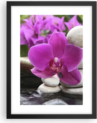 Produktbild von Gerahmtes Poster - Schwarzer Rahmen - Orchidee Bambus Dekoration Spa - 30x40 cm - Wand Bild - Wanddeko - Wandbilder - Wandposter - Bilderrahmen - Bilder - Kunstdruck - Wandbild - P2BPA30x40-2666