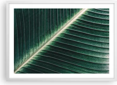 Produktbild von Gerahmtes Poster - Weißer Rahmen - Grün Blatt Tropisch - 70x50 cm - Wand Bild - Wanddeko - Wandbilder - Kunstposter - Wandposter - Bilderrahmen - Bilder - Kunstdruck - Wandbild - P2WAA70x50-4126