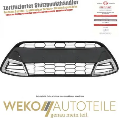 Produktbild von Lüftungsgitter  Stoßstange DIEDERICHS 1405043 für FORD