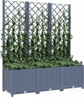 A gray planter box with a trellis covered in green ivy, set against a white background.