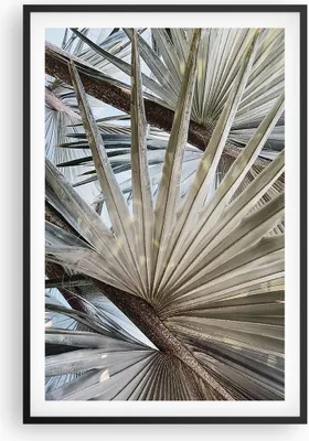 Produktbild von Gerahmtes Poster - Schwarzer Rahmen - Blatt Palme Natur - 61x91,5 cm - Wand Bild - Wanddeko - Wandbilder - Kunstposter - Wandposter - Bilderrahmen - Bilder - Kunstdruck - P2BPA61x91-5056