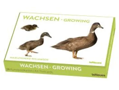 Produktbild von Kunstkartenbox 'Wachsen' mit 24 Karten (12 Tierkinder-Motive), 14,8 x 10,5 cm