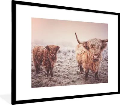 Produktbild von MuchoWow® Gerahmtes Poster Schottische Highlander - Schnee - Sonne 80x60 cm - Poster mit Schwarzem Bilderrahmen Wandposter Rahmen Foto Bilder - Schlafzimmer-Dekorationen - Fotoposter
