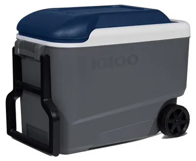 Produktbild von Igloo Maxcold 40qt Roller - 37 Liter