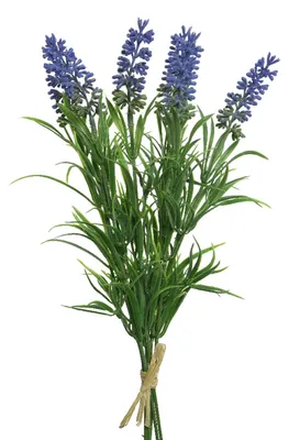 Produktbild von Everlands Kunstpflanze Lavendel - lila - 21 cm