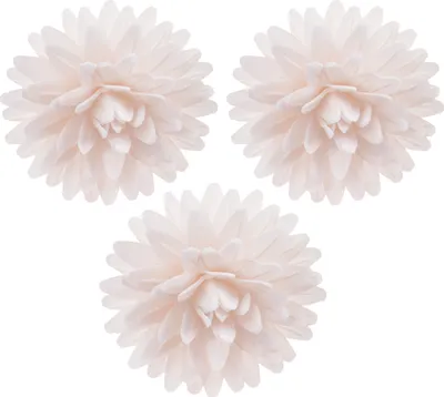 Produktbild von Essbare Blumen für die Torte aus Oblate, 12 Stück, je 4,5cm, weiß, Tortendeko Kuchen Deko Blüten