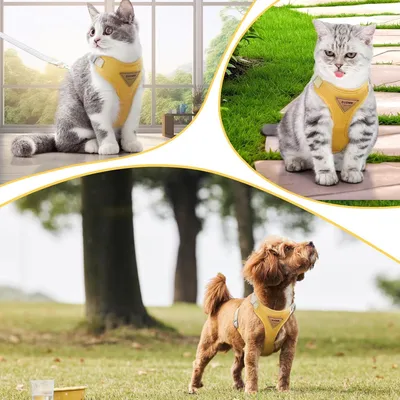 Zdjęcie produktu dla Szelki dla kota, regulowane szelki dla kota ze smyczą, szelki dla kota, szelki zabezpieczające przed ucieczką ze smyczą, szelki odblaskowe, oddychające, łatwe do zakładania, szelki na zewnątrz nie powodujące duszenia, kolor żółty, rozmiar S