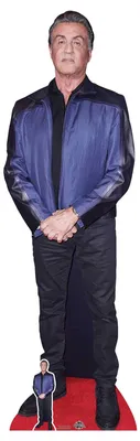 Obrázok produktu pre Sylvester Stallone - Star VIP - Kartónový stojan - 56x177 cm
