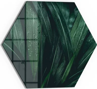 Produktbild von DEQORI Glasbild Echtglas 40x35 cm 'Tropisches Flüstern' Wandbild Bild modern Deko