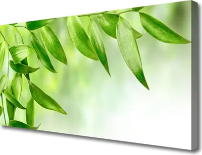 Produktbild von Tulup Leinwand-Bilder 100x50 Wandbild Canvas Kunstdruck Blätter Pflanzen
