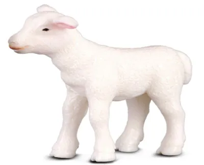 Produktbild von Collecta Lammfigur    One Size
