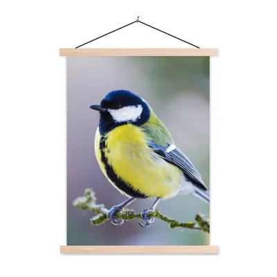 Produktbild von MuchoWow® Textilposter Kohlmeise - Vogel - Zweig 40x53 cm mit holzfarbenen Rahmen - Schlafzimmer
