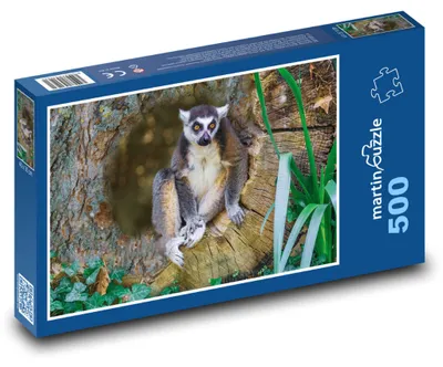 Zdjęcie produktu dla martinpuzzle - Puzzle 500 - Lemur na drzewie
