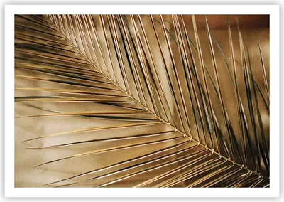 Produktbild von Poster - Poster ohne Rahmen - Blatt Gold Pflanze - 100x70 cm - Wand Bild - Wanddeko - Wandbilder - Kunstposter - Wandposter - Bilder - Kunstdruck - Wanddekoration - Wandbild - P2XAA100x70-5041