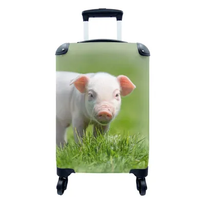 Produktbild von MuchoWow® Koffer Handgepäck Trolley Rollkoffer Kleine Reisekoffer mit 4 Rollen - Ferkel - Kaninchen - Tiere - Cabin Size < 55x40x23 cm & 55x40x20 cm - Fotokoffer - Kabinenkoffer - Boardgepäck - Reise-Box - Reisekoffer - Reisegepäck - Koffer mit Bild - Trolley für Kinder