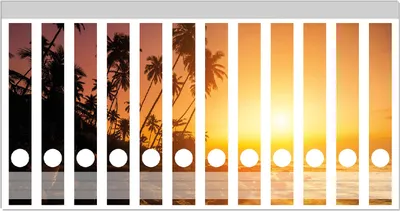 Produktbild von Wallario Ordnerrücken Sticker, selbstklebend für schmale Ordner, 12 Stück, Motiv Kokospalmen am Abend - Sonnenuntergang in Sri Lanka