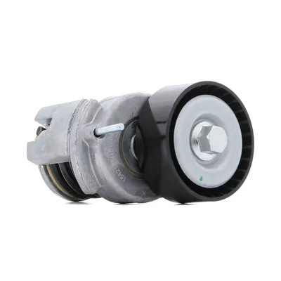 Produktbild von RIDEX 541V0046 Keilrippenriemenspanner für VW GOLF VI (5K1) Golf V Schrägheck (1K1) POLO (9N) Polo Schrägheck (6R1, 6C1) TOURAN (1T1, 1T2)