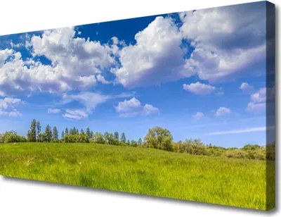 Produktbild von Tulup Leinwand-Bilder 100x50 Wandbild Canvas Kunstdruck Wiese Gras Landschaft
