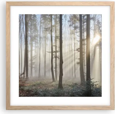 Produktbild von Gerahmtes Poster - Rahmen in heller Eiche - Wald Baum Natur - 40x40 cm - Wand Bild - Wanddeko - Wandbilder - Kunstposter - Wandposter - Bilderrahmen - Bilder - Kunstdruck - Wandbild - P2NAC40x40-3749