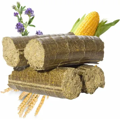 Image de Barre de picage Lax pour poulets