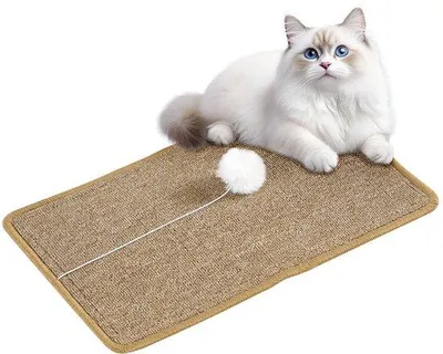 Image de Tapis en sisal 50 x 30 cm, pour bancs, meubles, murs, protection des tapis, facile à nettoyer, beige
