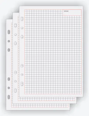 Image de bind Feuilles de rechange pour notes Manager, A5, quadrillées