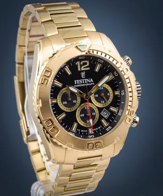 Obrázek produktu pro Pánské hodinky Festina Timeless Chronograph