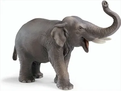 Produktbild von Schleich 14144 - Asiatischer Elefantenbulle