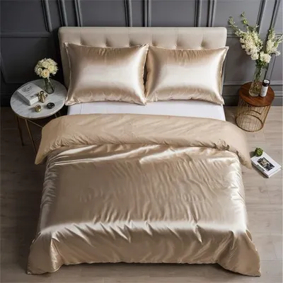 Produktbild von COZYOR Wende-Bettwäsche, glänzend matt, Satin & Mikrofaser, mit verstecktem Reißverschluss, 200x200cm+40x80cm, beige