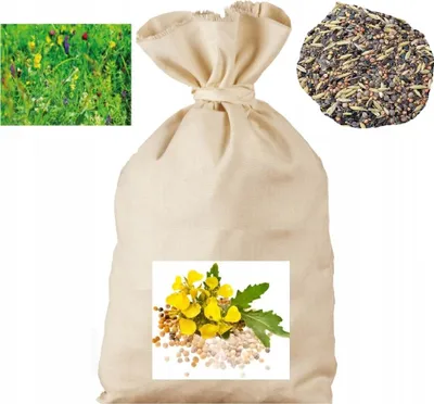 Zdjęcie produktu dla Mieszanka poplonowa 1kg - Agro Bracia